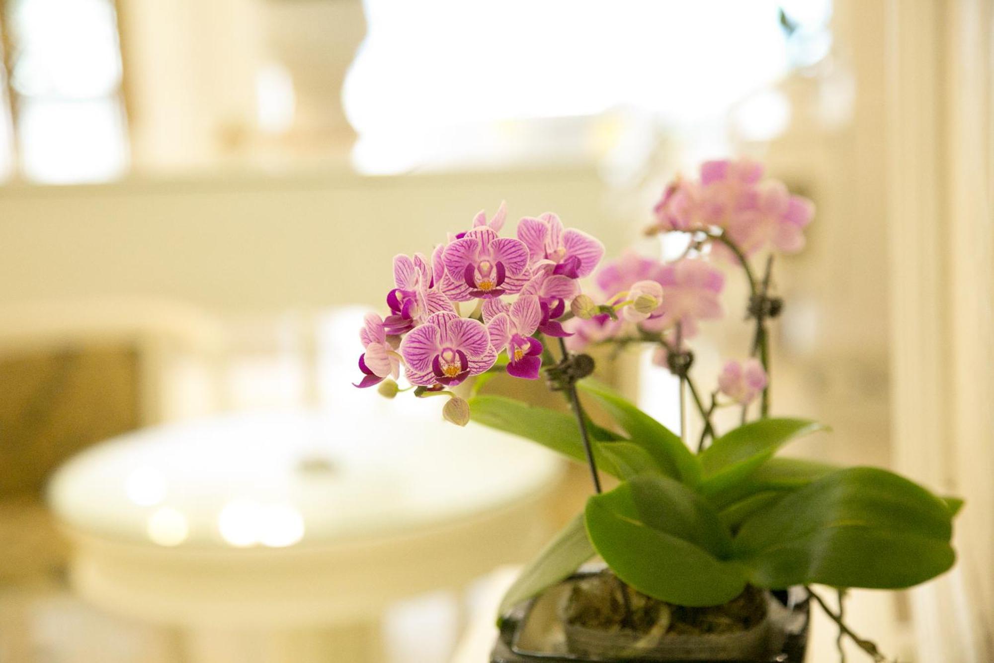 Citybay Palace Ha Long Hotel Buitenkant foto