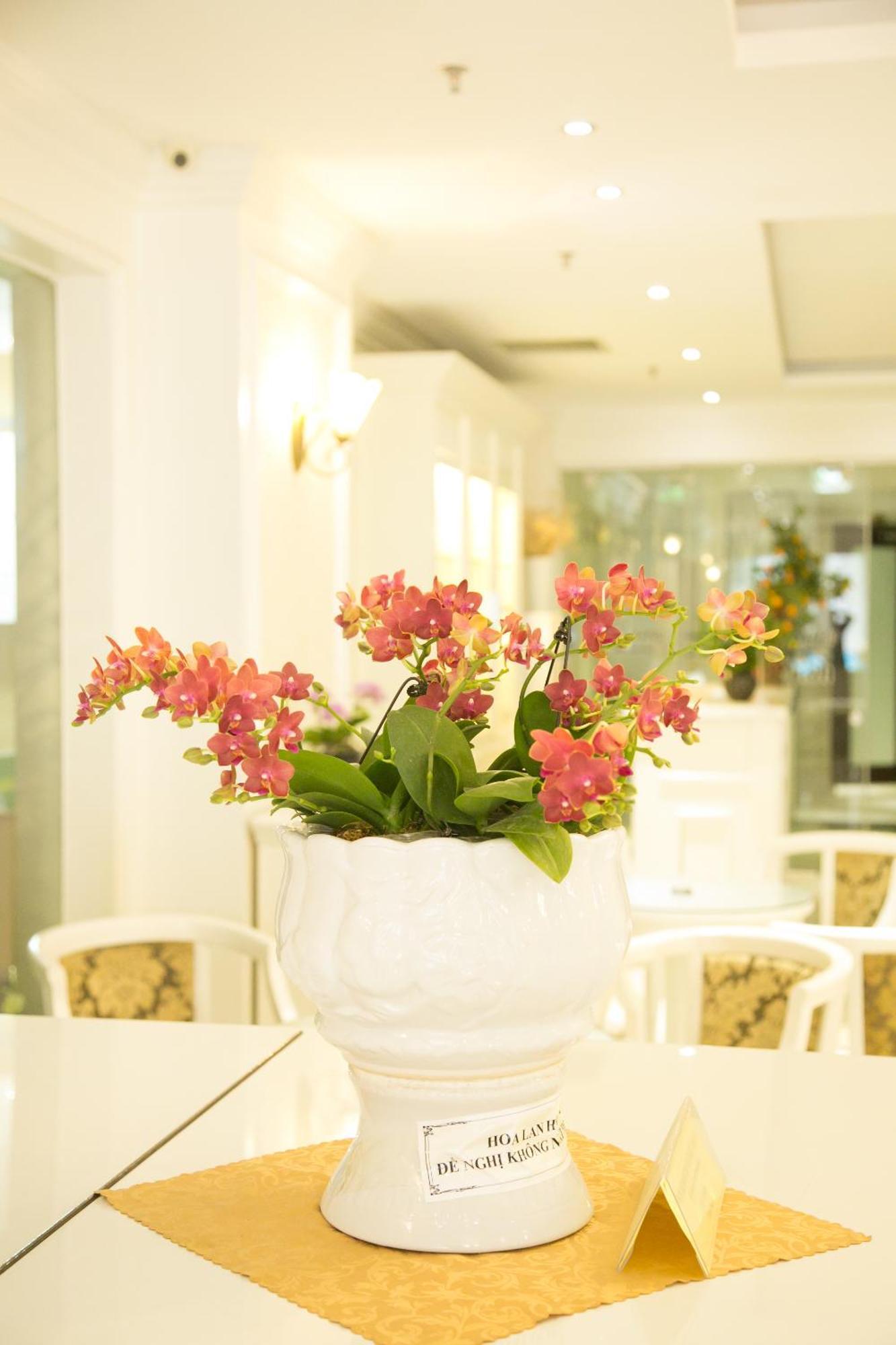 Citybay Palace Ha Long Hotel Buitenkant foto